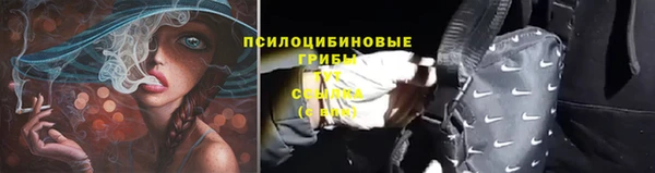 дмт Белоозёрский