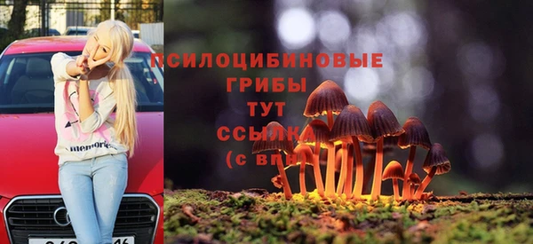 СК Белокуриха