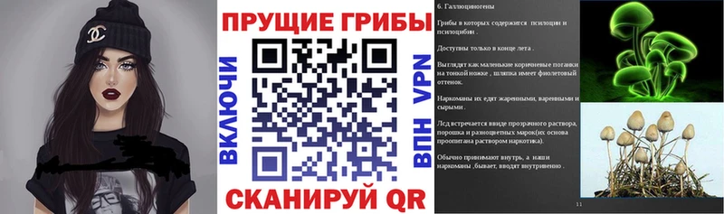 Псилоцибиновые грибы мухоморы  наркота  Бронницы 